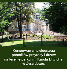 park_zieleń