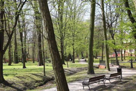 park