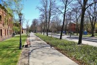 Zagospodarowanie terenów zieleni i przebudowa ul. Kościuszki