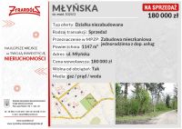 Obszar roboczy 1 kopia 4-100