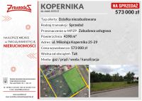 Obszar roboczy 1 kopia-100