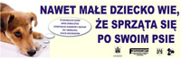 Nawet małe dziecko wie, że sprząta się po psie