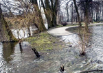 PODTOPIENIA