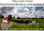 Zagłosuj na Rawkę!