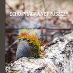 Echo pradawnej puszczy
