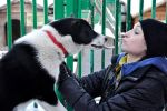 Schronisko dla bezdomnych zwierząt otoczone bezcennym wsparciem wolontariuszy