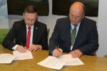 Ponad 13 mln zł na zieleń miejską